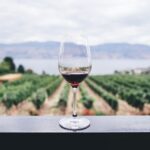 Die Welt des alkoholfreien Weins erkunden: Ein Leitfaden für Anfänger